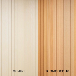 Дверь для сауны Tylo Harmony, термоосина, стекло матовое